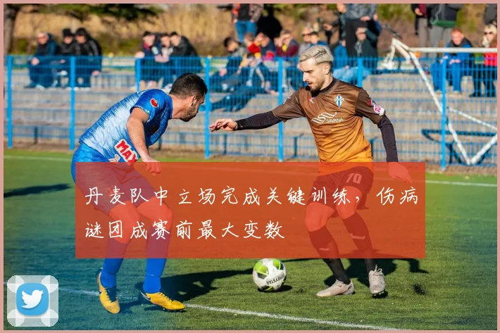 丹麦队中立场完成关键训练,伤病谜团成赛前最大变数