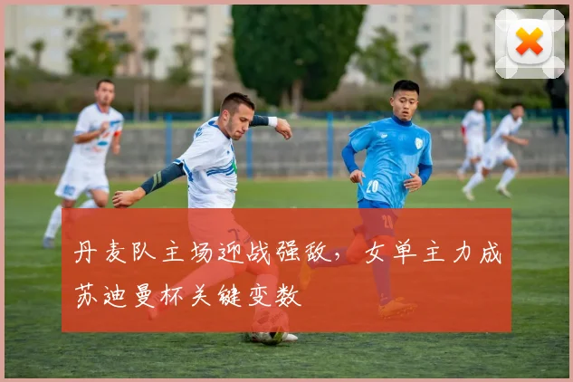 丹麦队主场迎战强敌,女单主力成苏迪曼杯关键变数